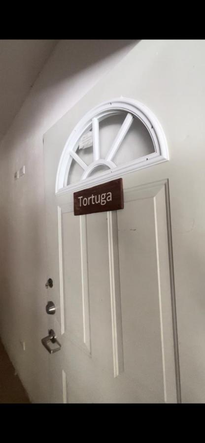 Habitacion Tortuga Casa Maria Bonita El Cuyo Luaran gambar